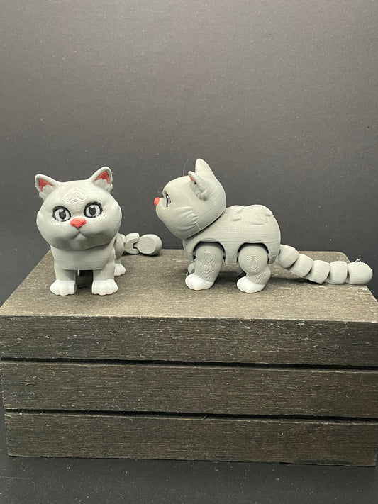 British Shorthair Cat