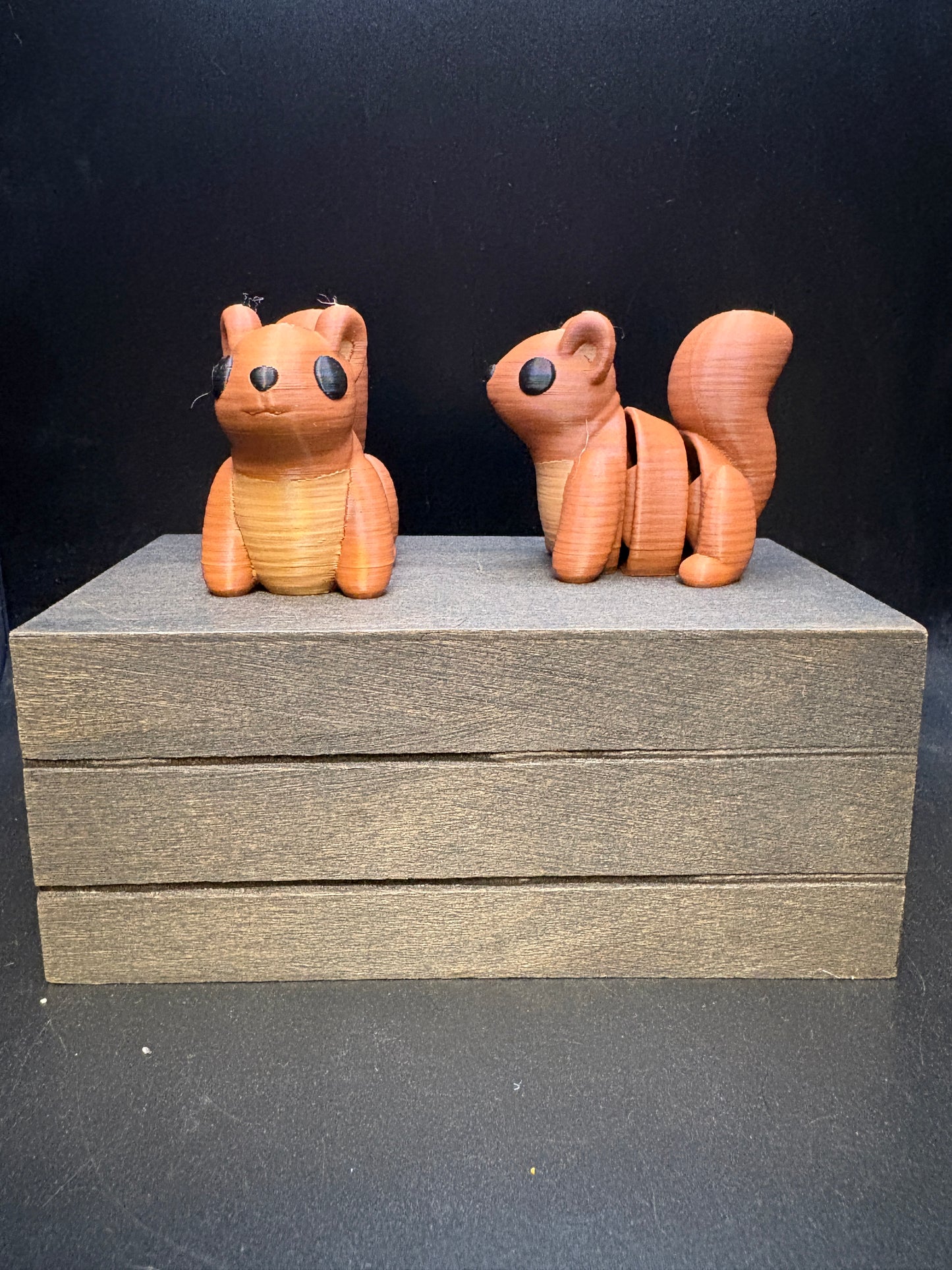 Squirrel