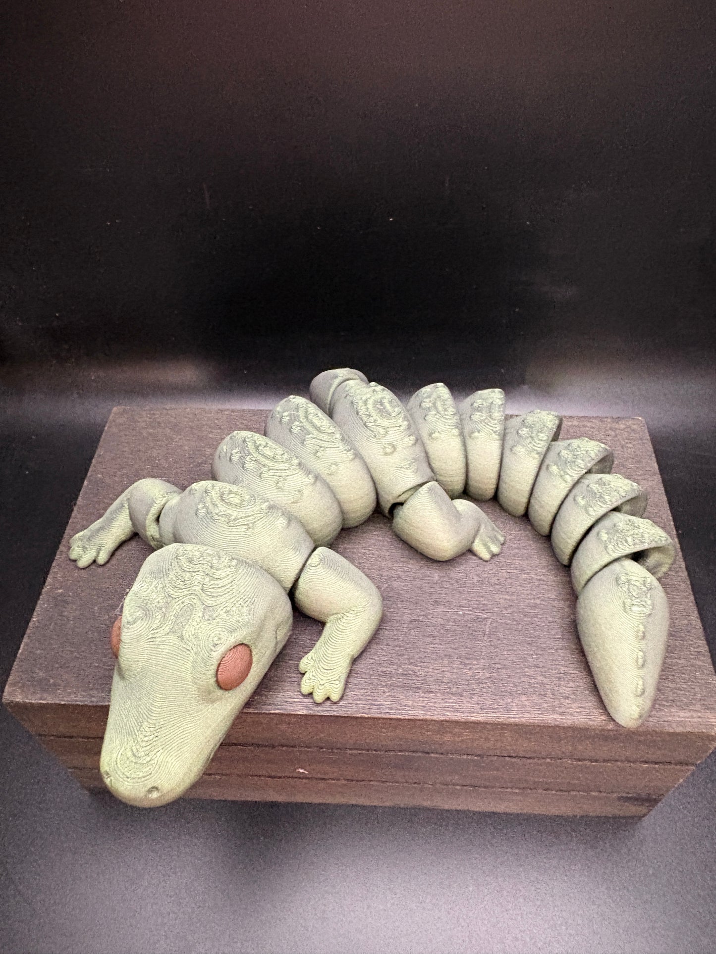 Alligator