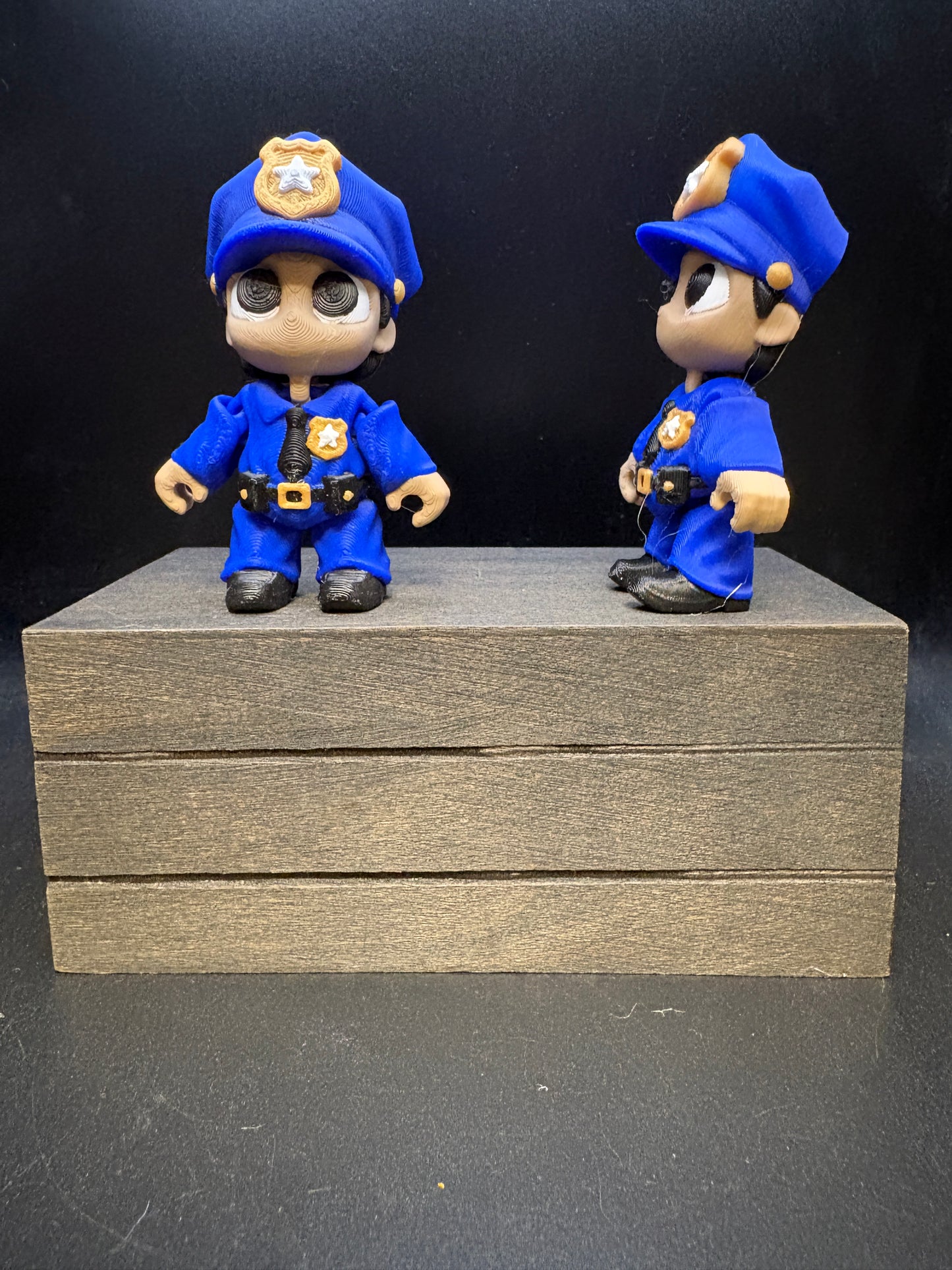 Police Officer