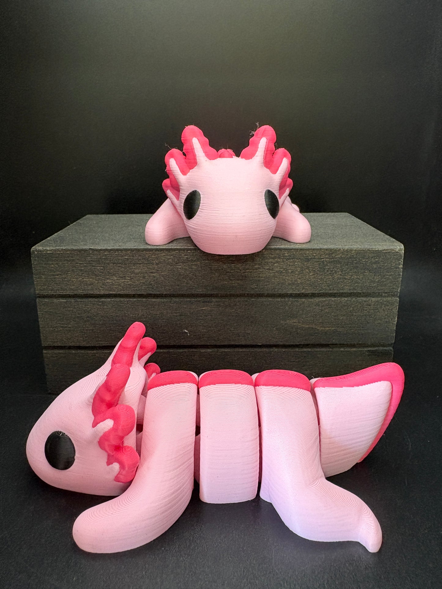 Axolotl