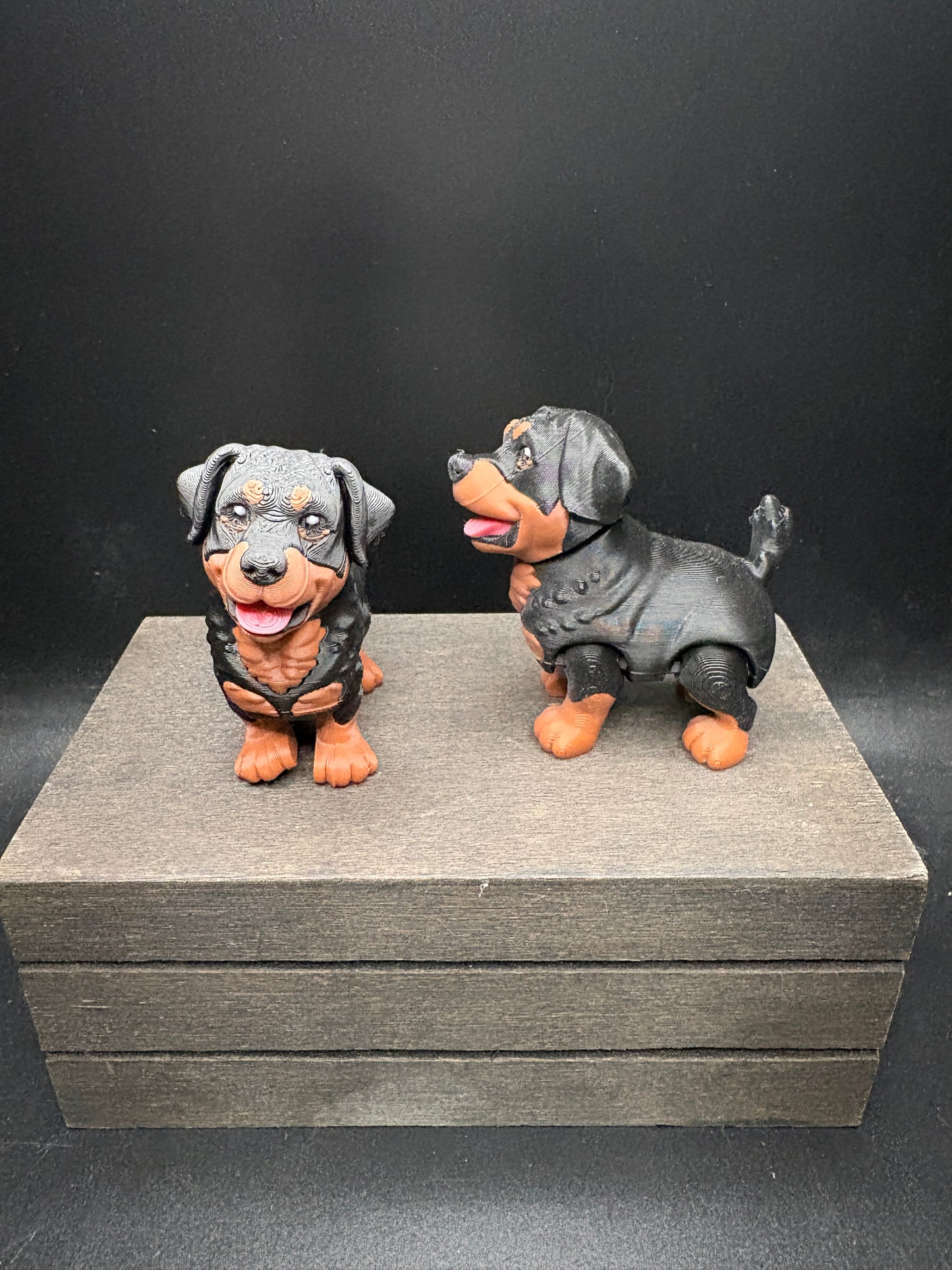Rottweiler Puppy