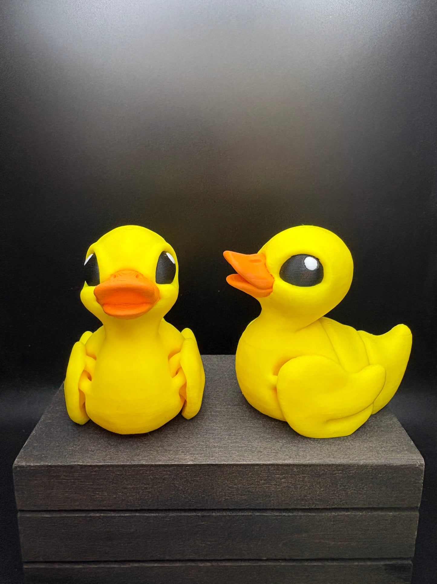Duck