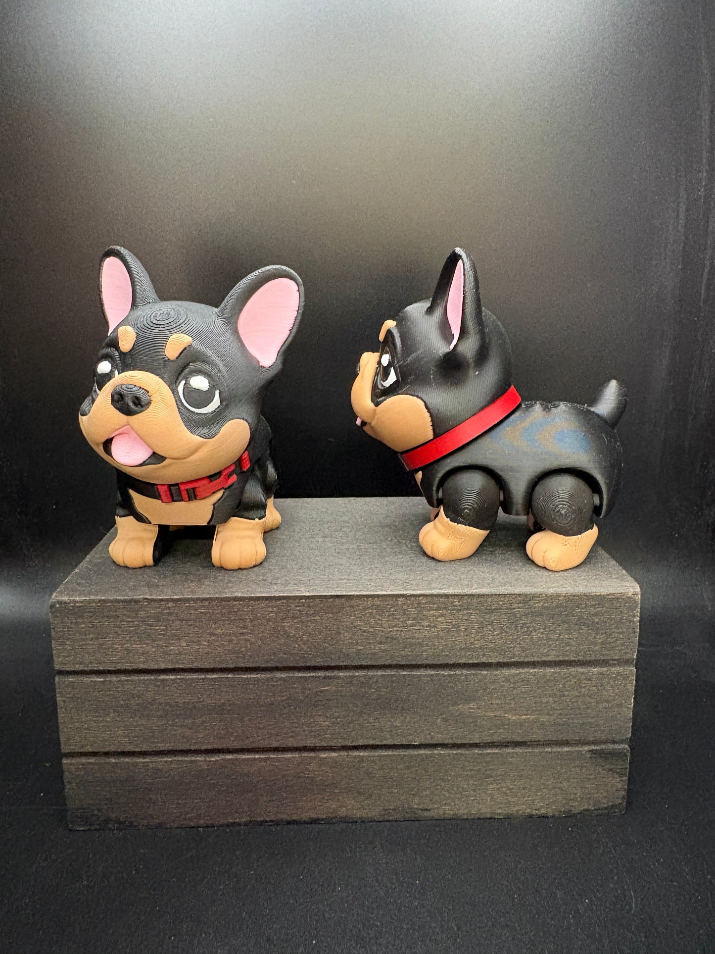 French Bulldog