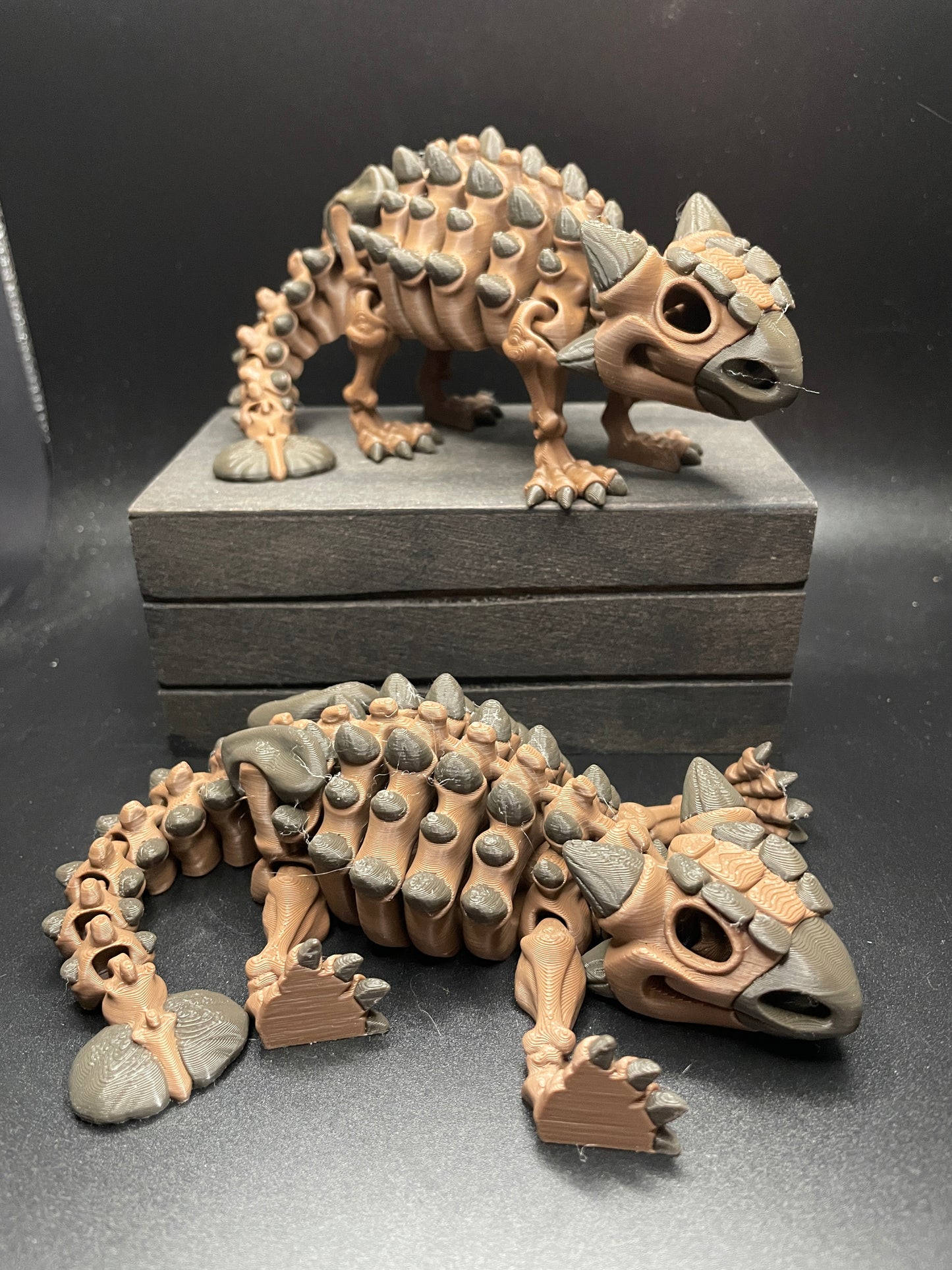 Skeleton Ankylosaurus