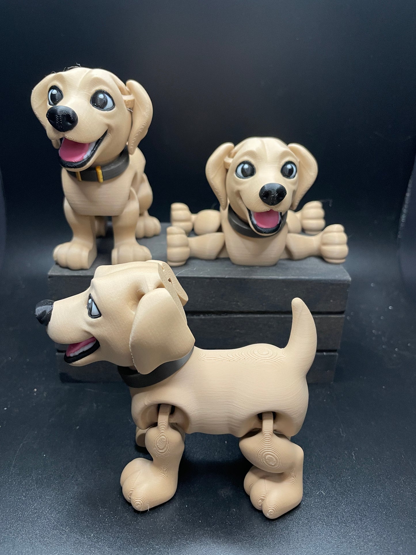 Labrador