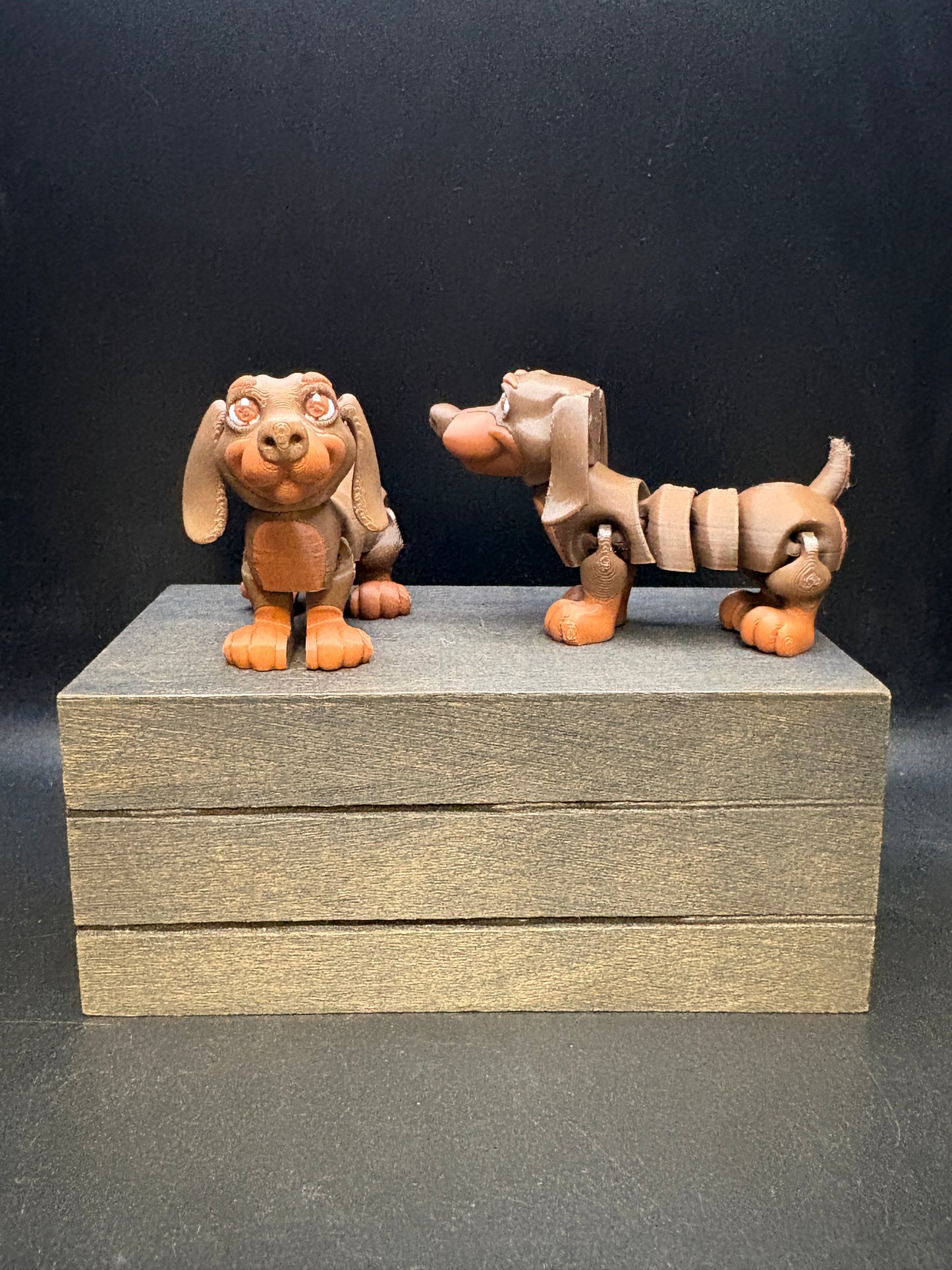 Dachshund - small