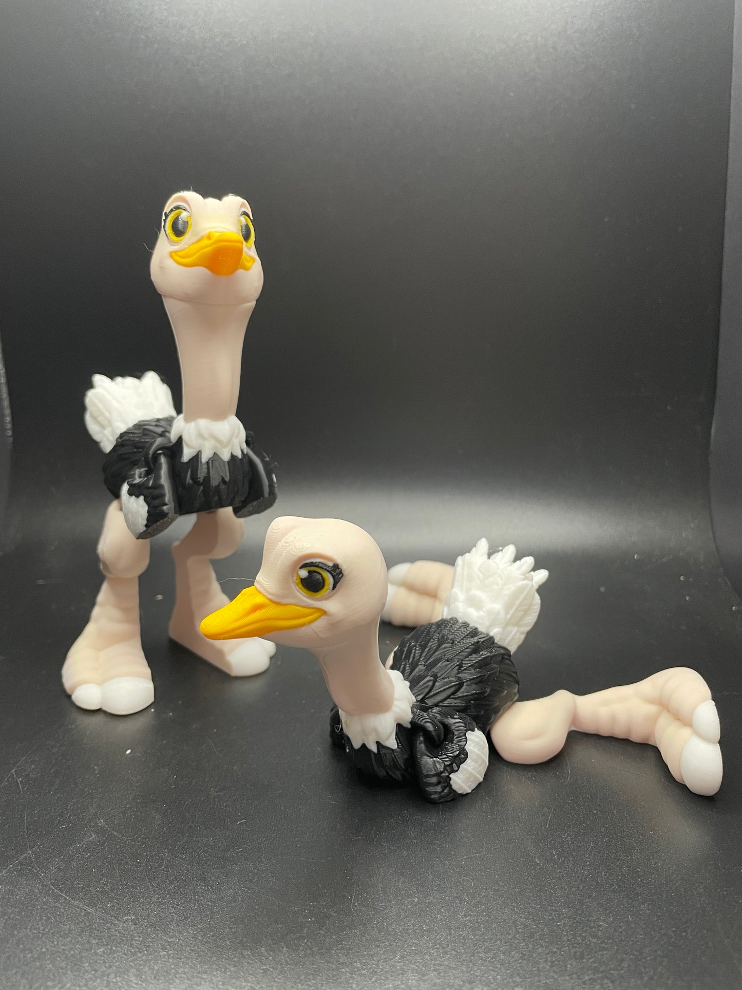 Ostrich