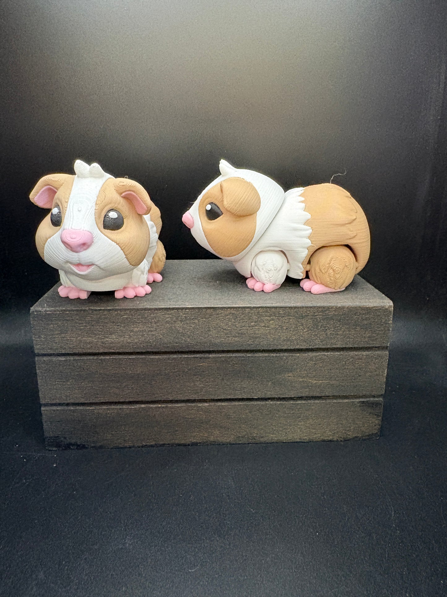 Guinea Pig