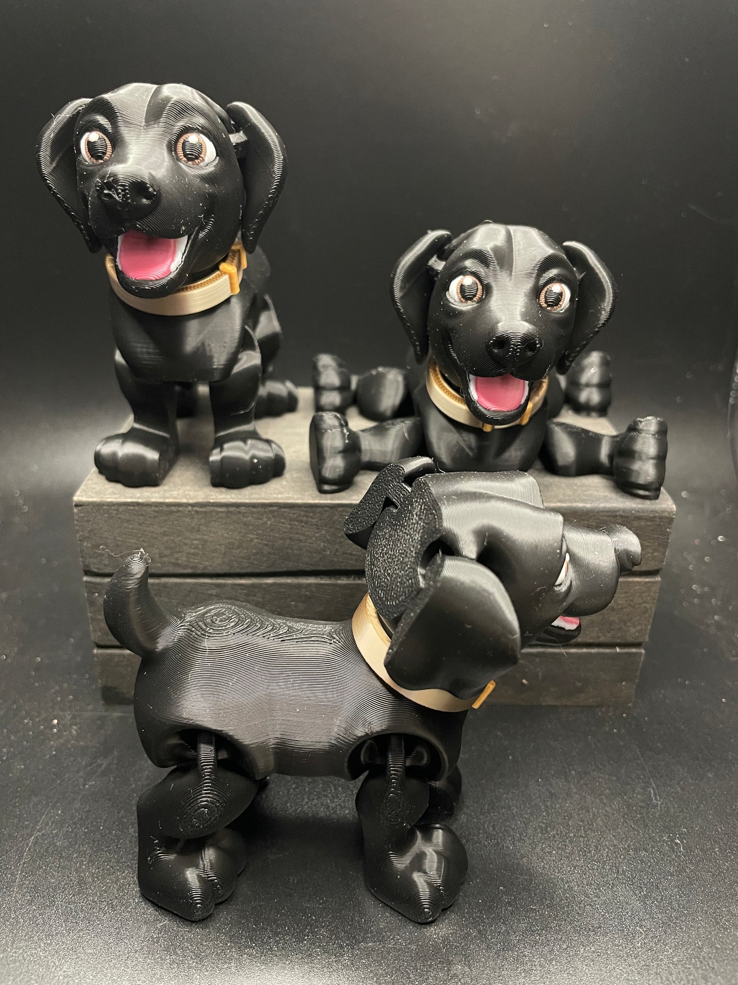 Labrador