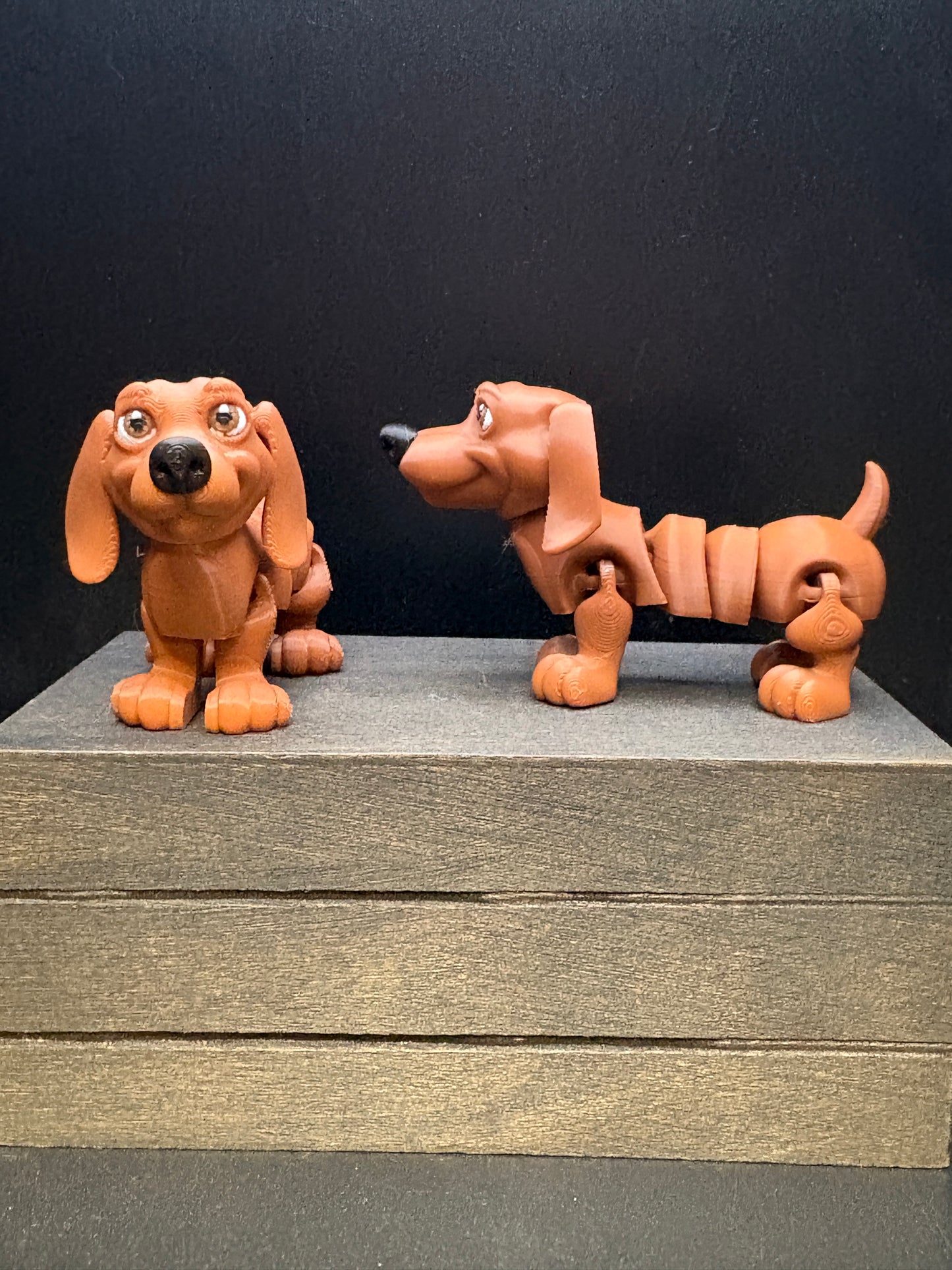 Dachshund - small