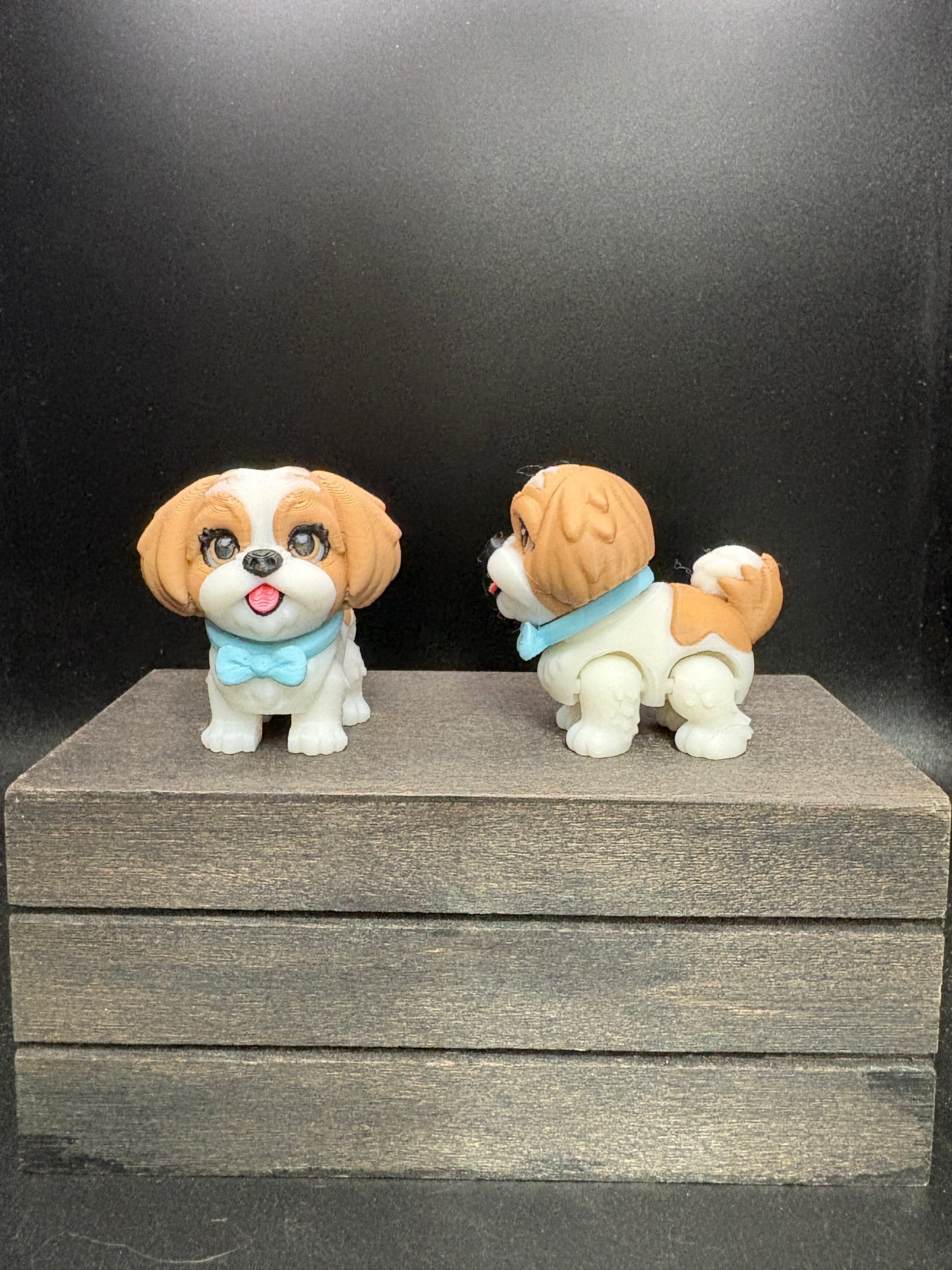 Shih Tzu