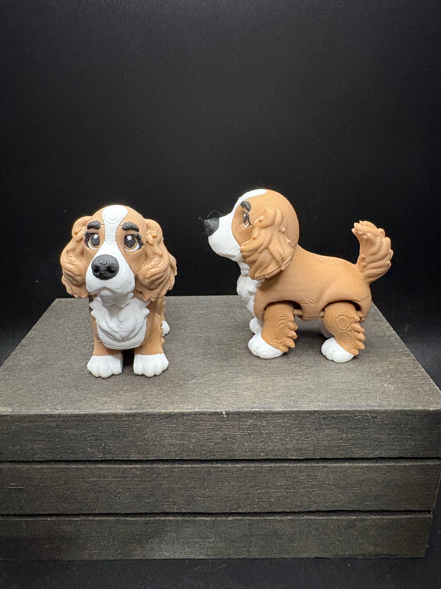 Cocker Spaniel