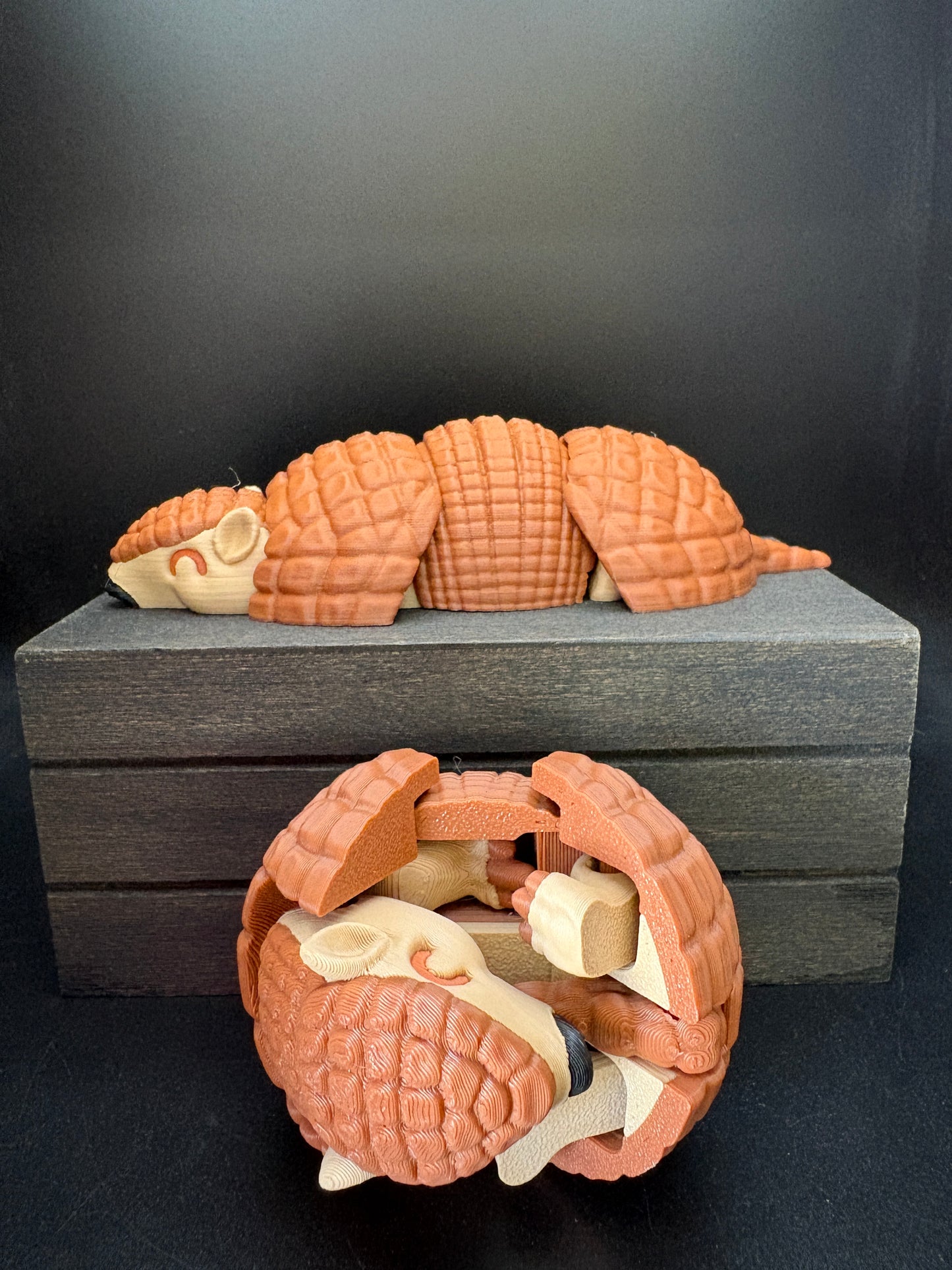 Armadillo