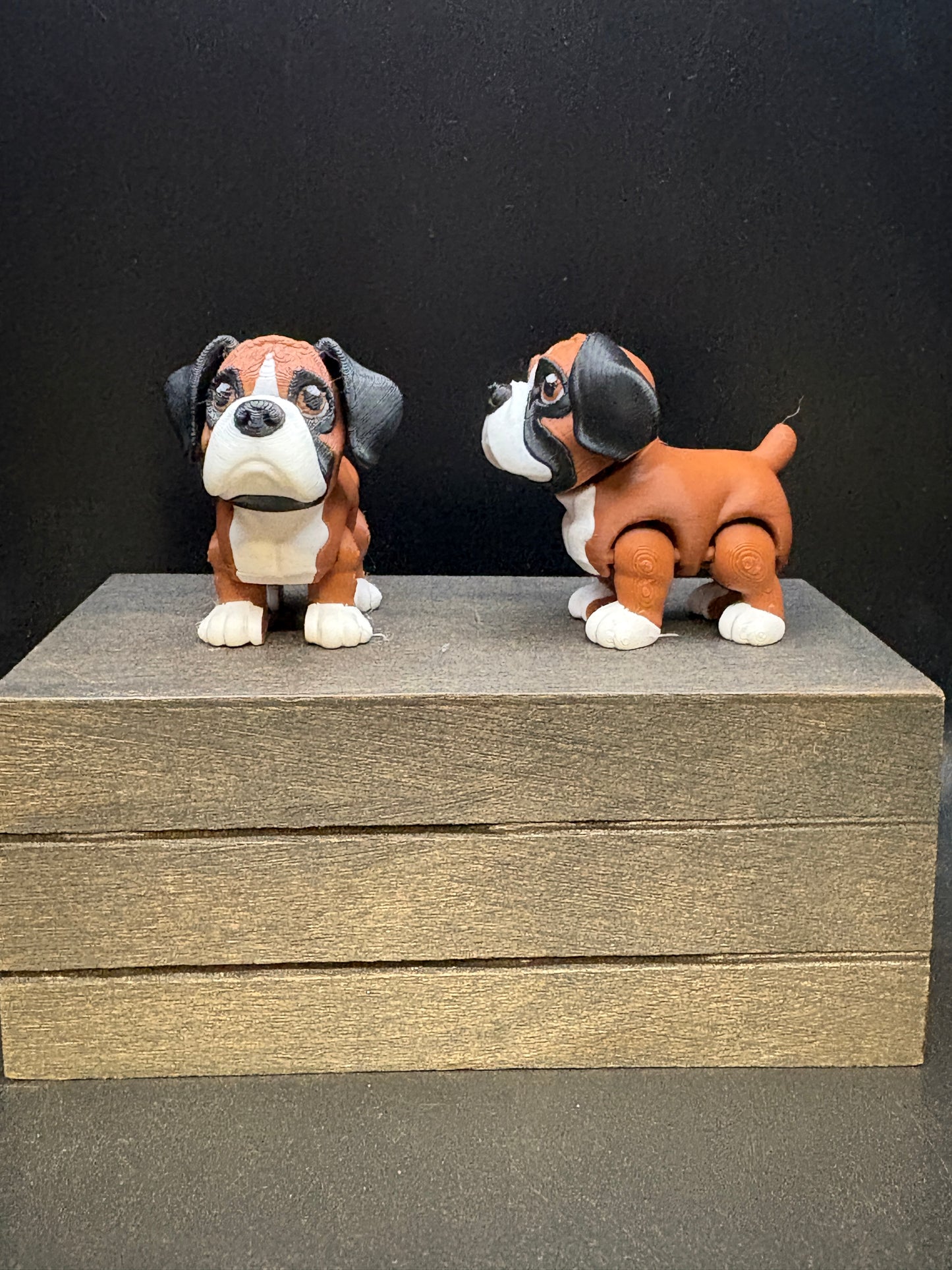 Boxer