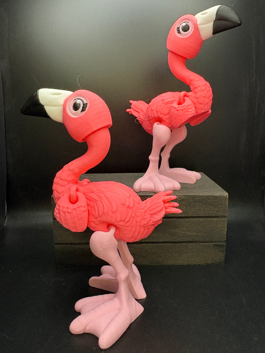Flamingo