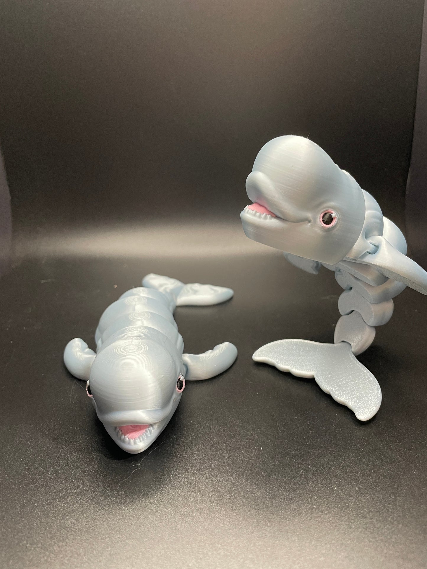 Beluga Whale