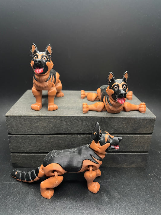 German Shepard : Small