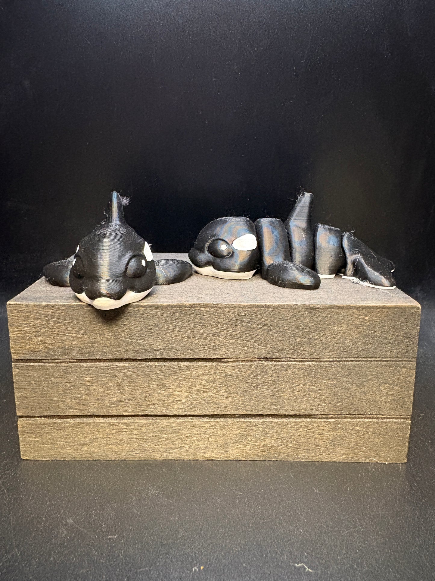 Orca