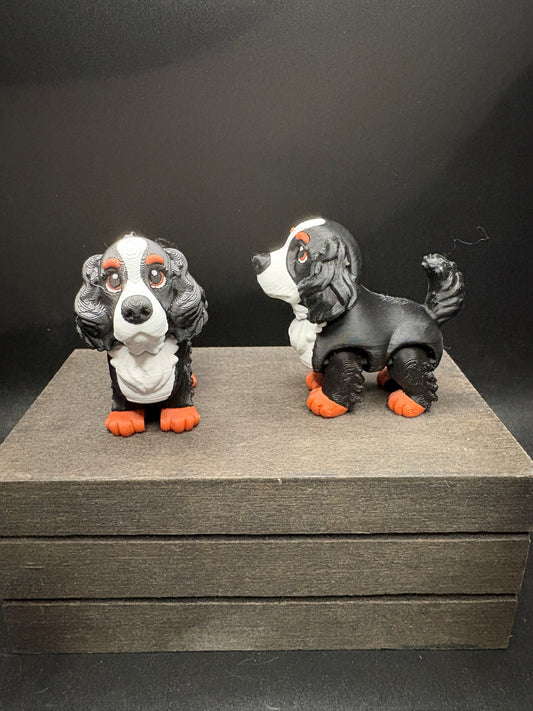Cocker Spaniel