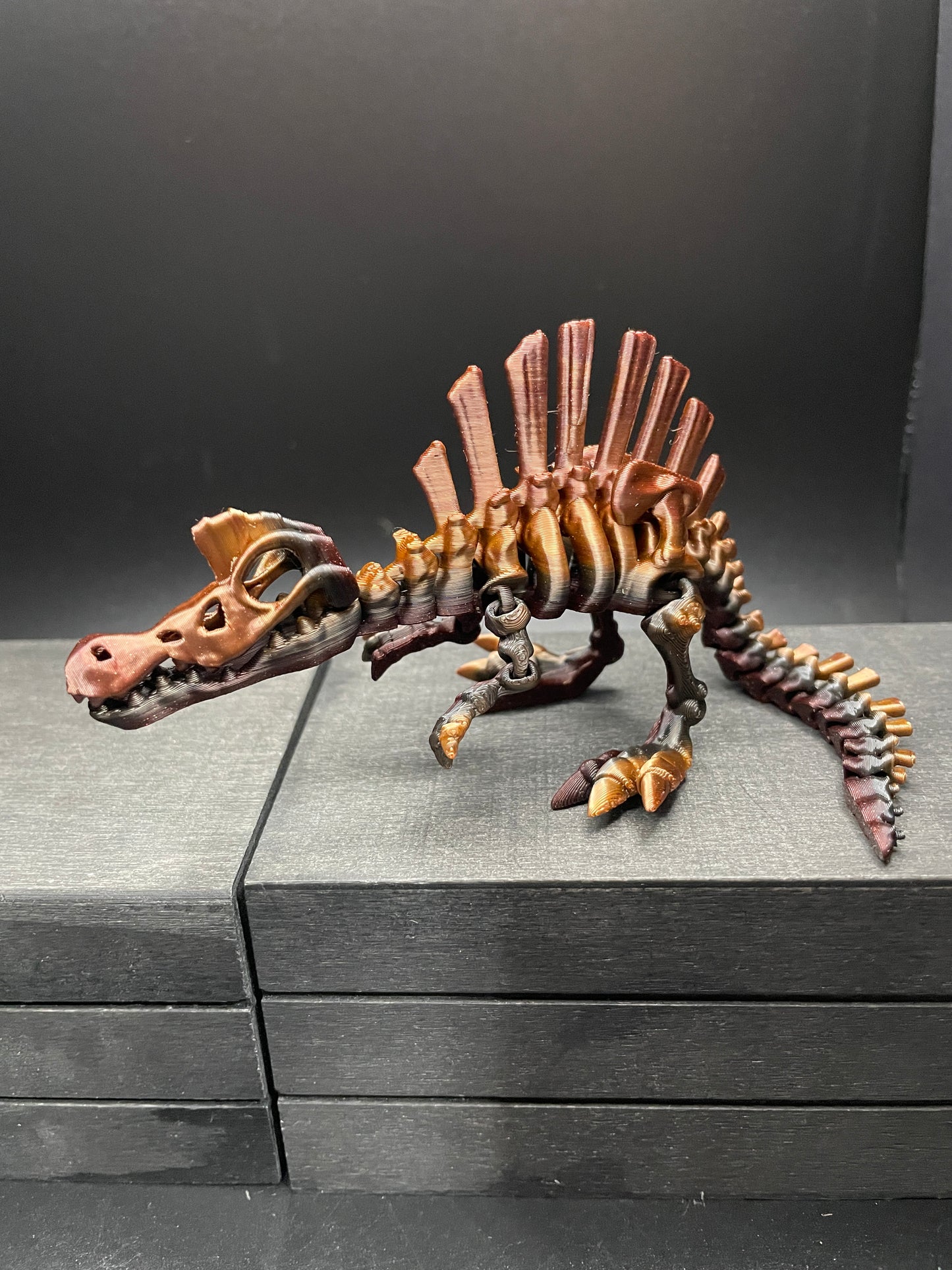 Skeleton Spinosaurus : Small