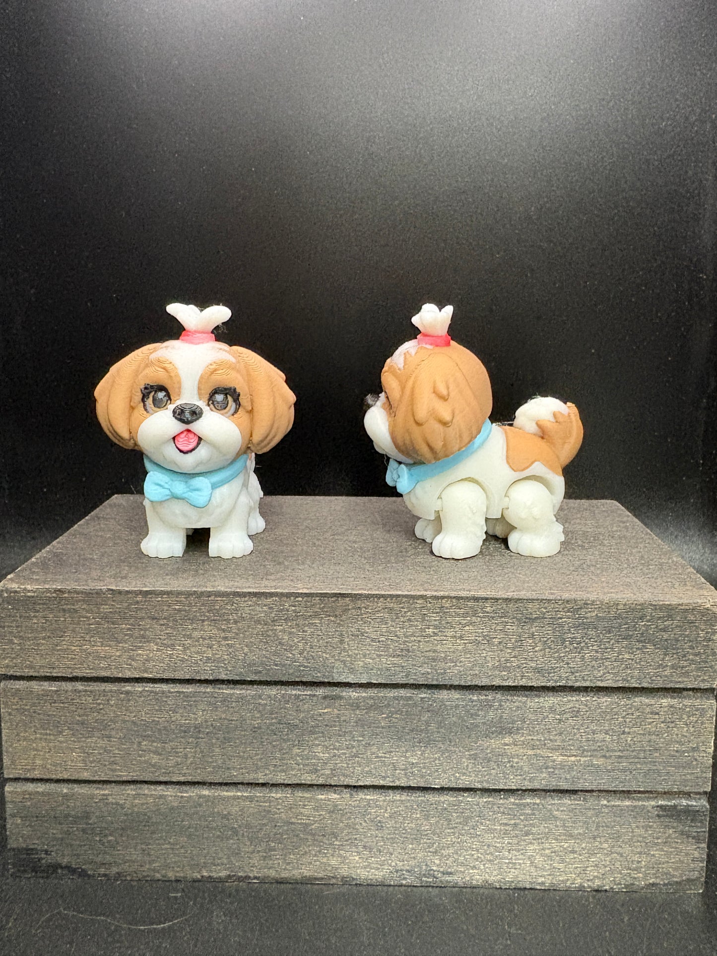 Shih Tzu
