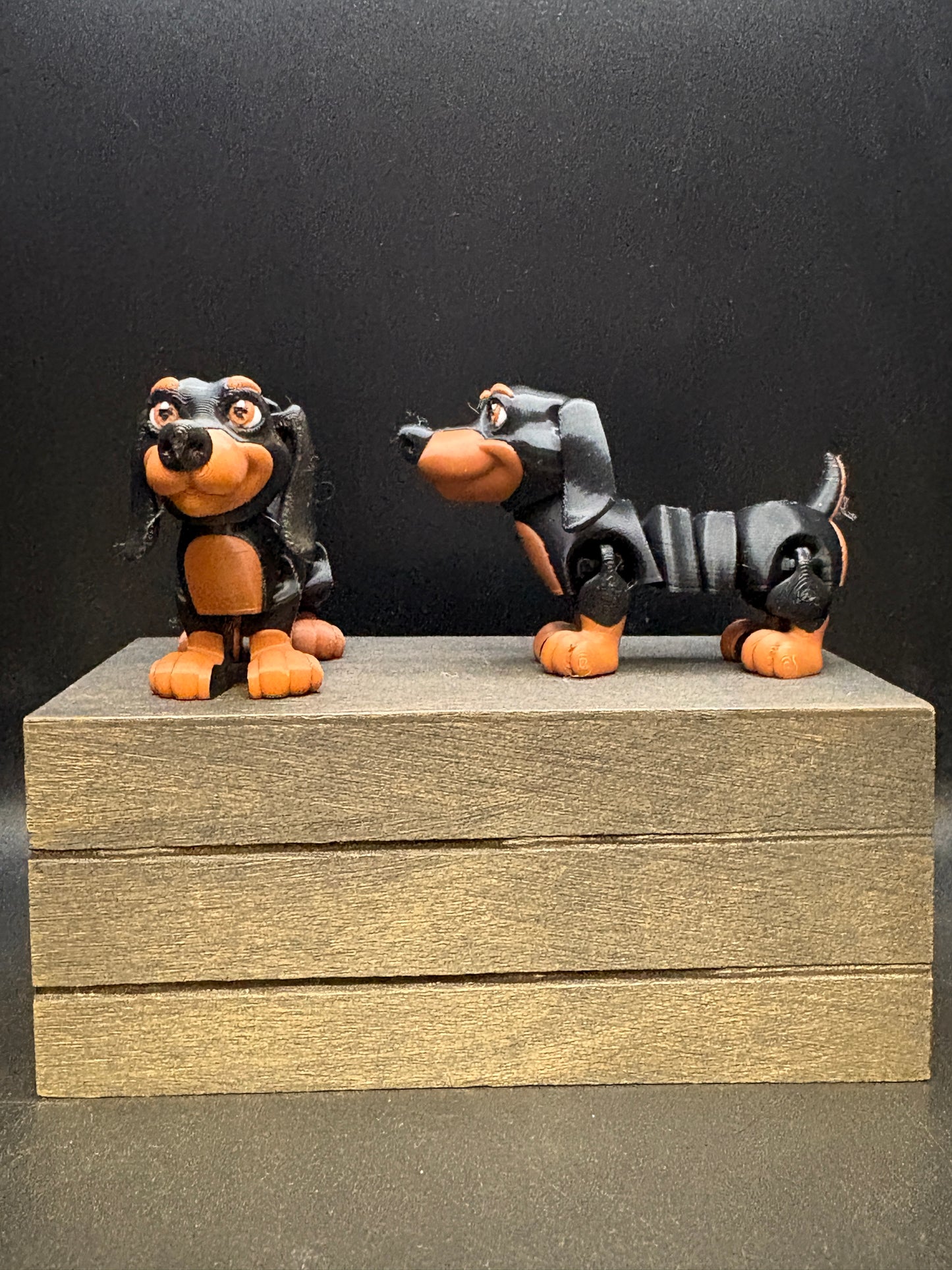 Dachshund - small
