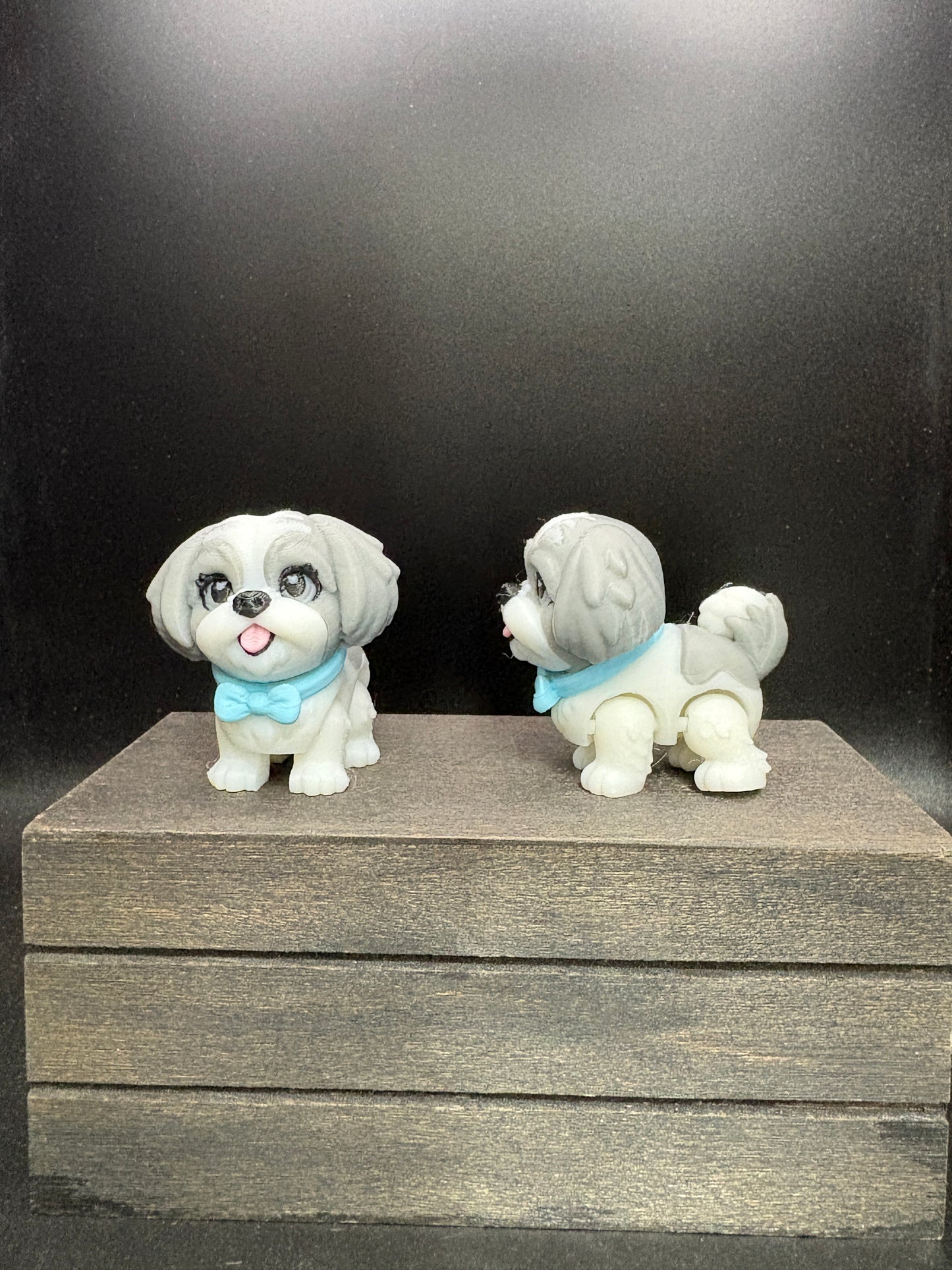 Shih Tzu