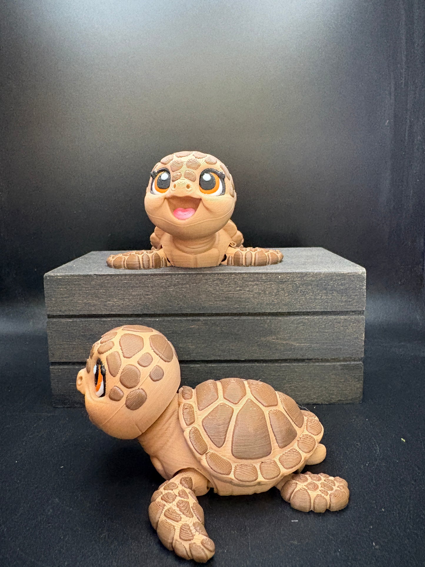 Sea Turtle