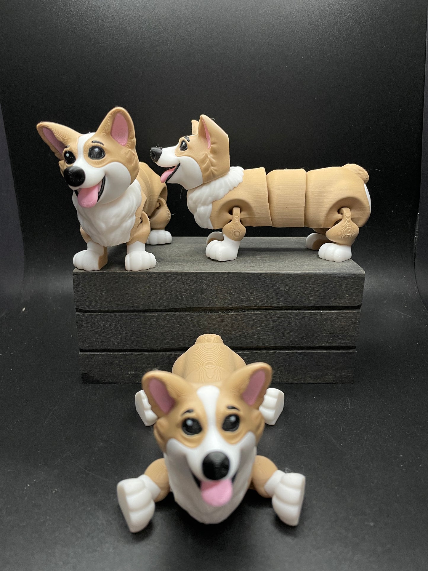Corgi