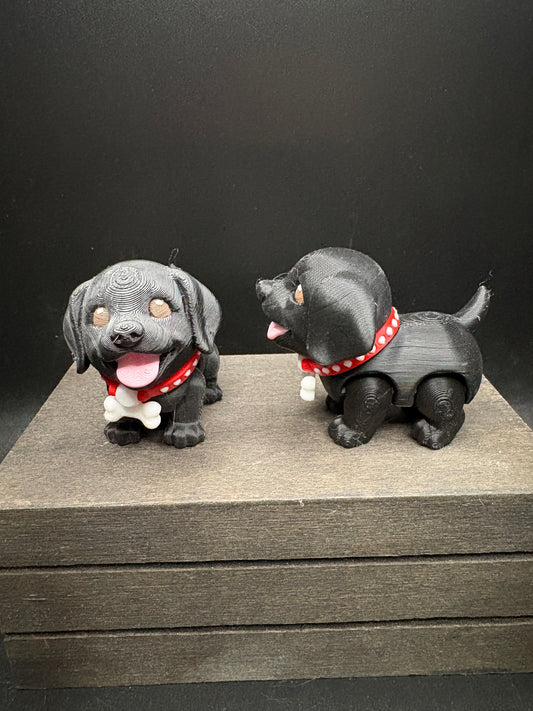 Labrador Puppy