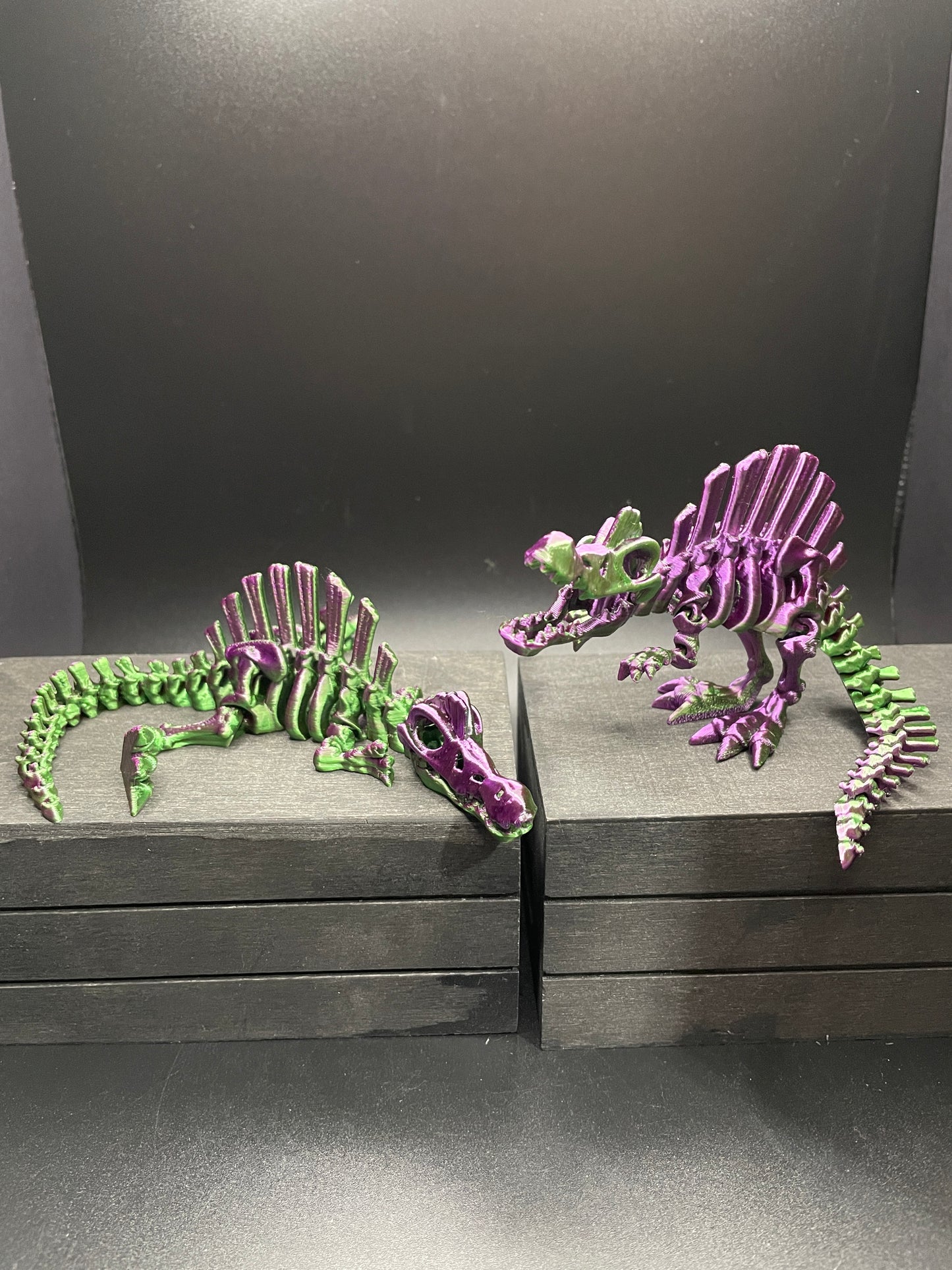 Skeleton Spinosaurus : Small