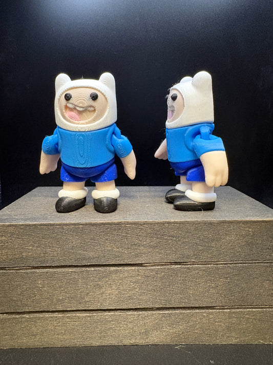 Finn The Human