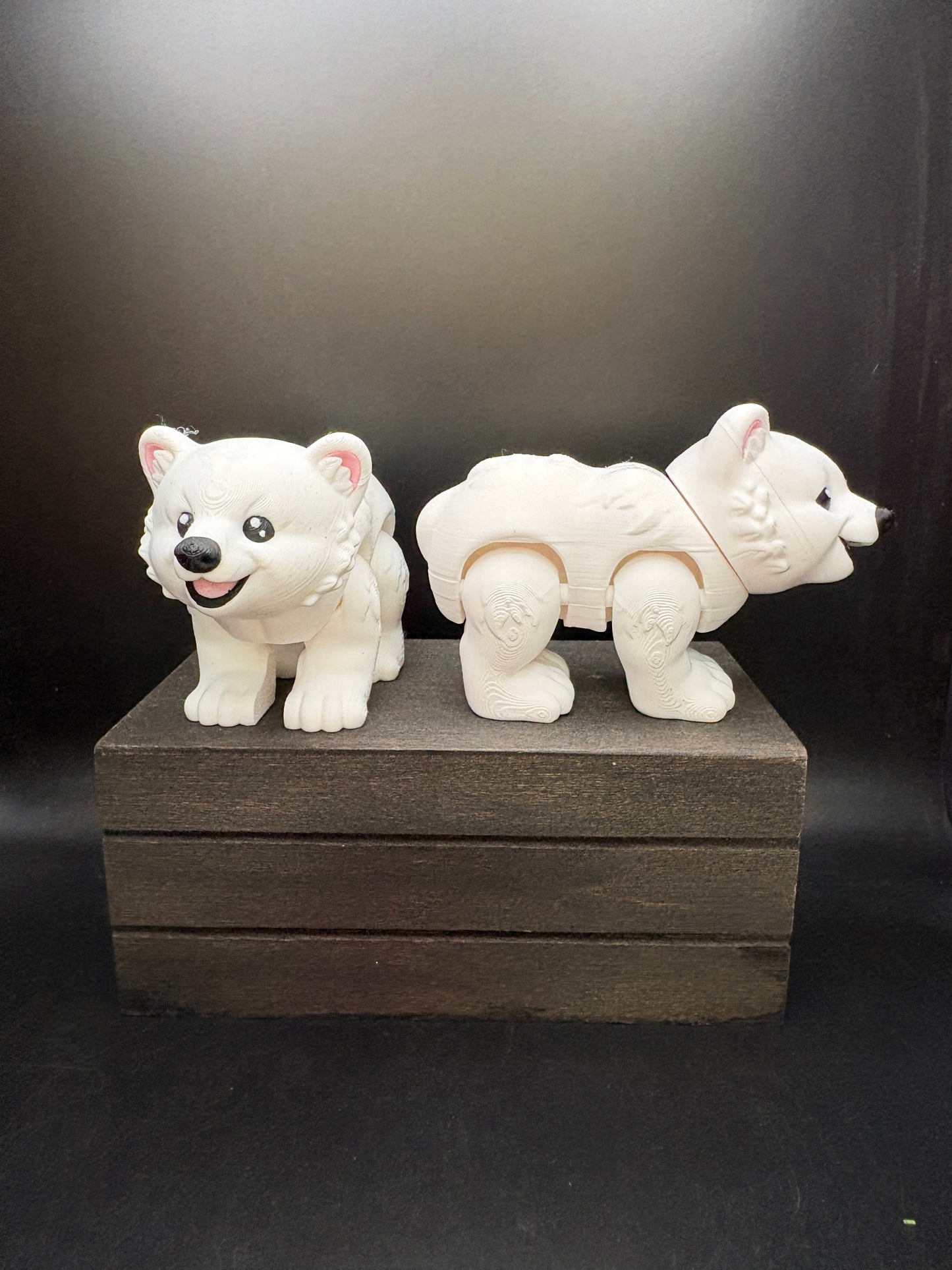 Polar Bear