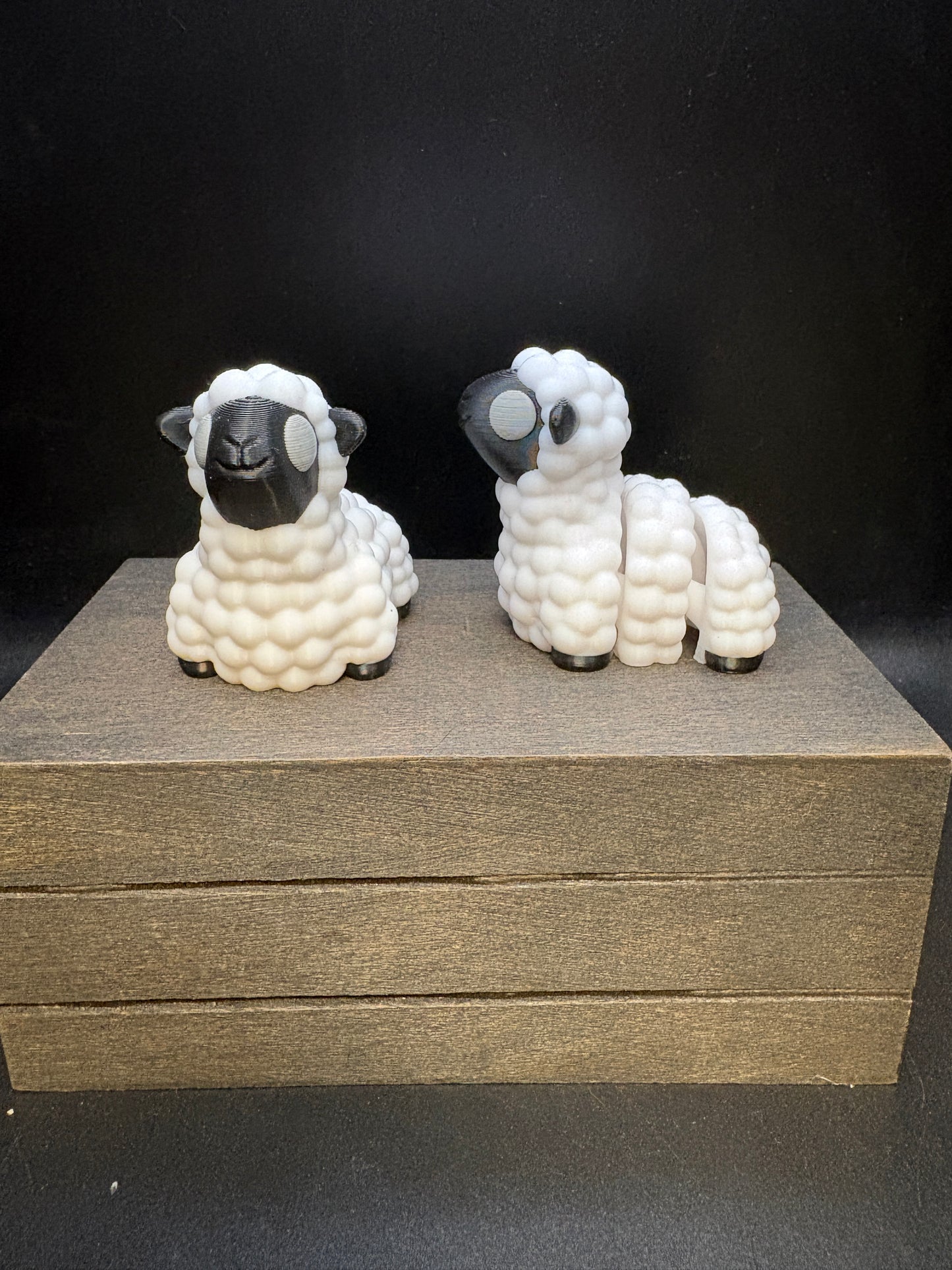Sheep