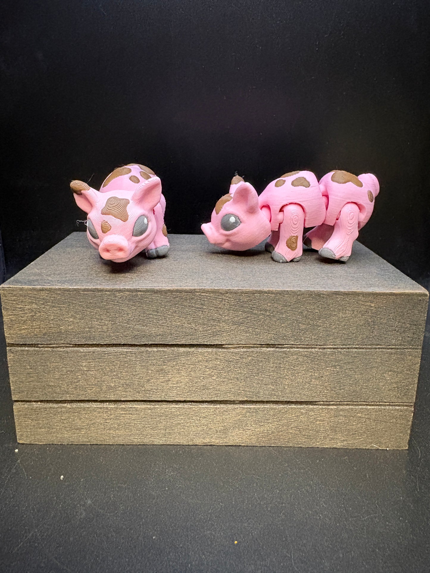 Pig with Mud