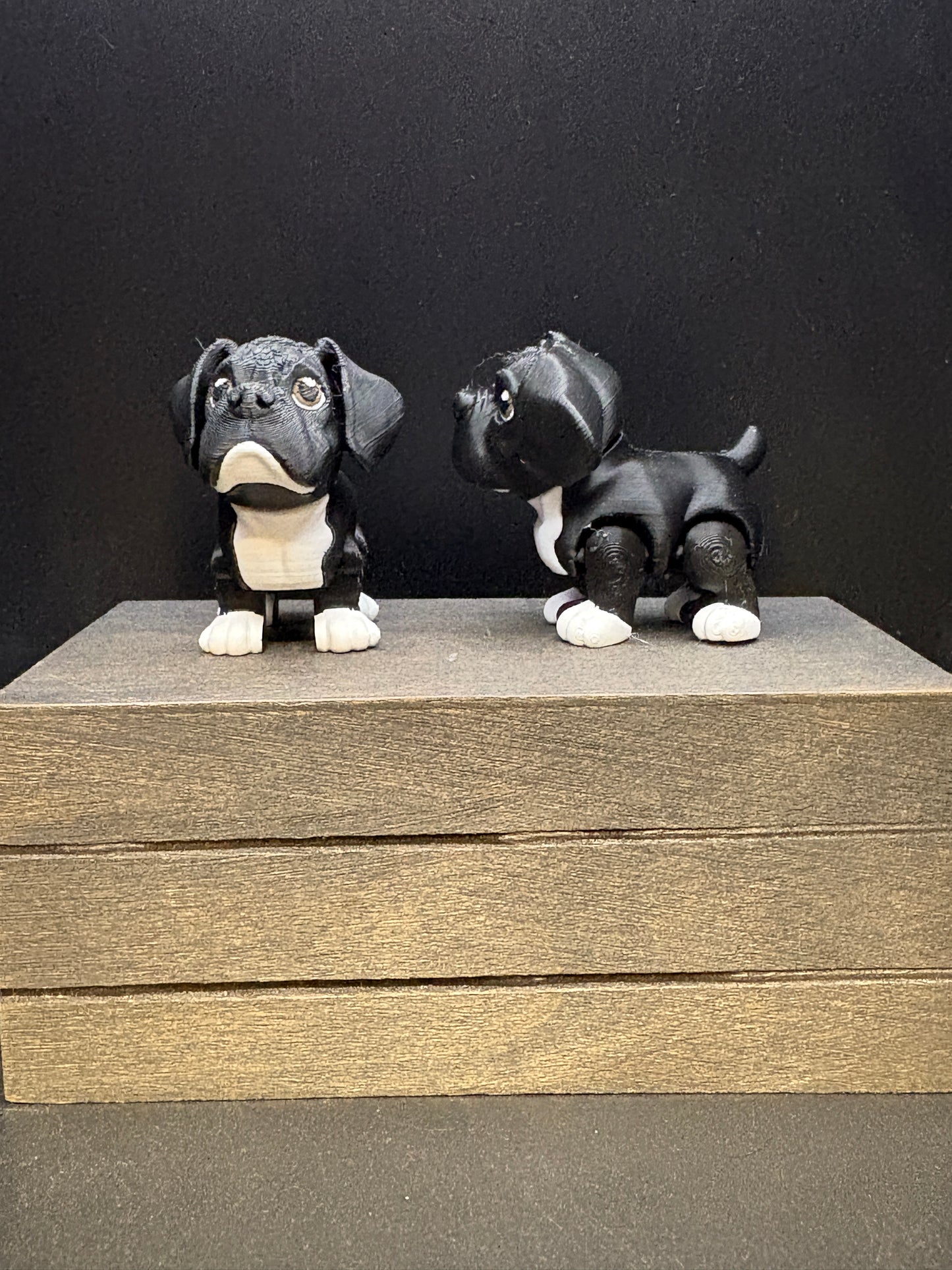 Boxer