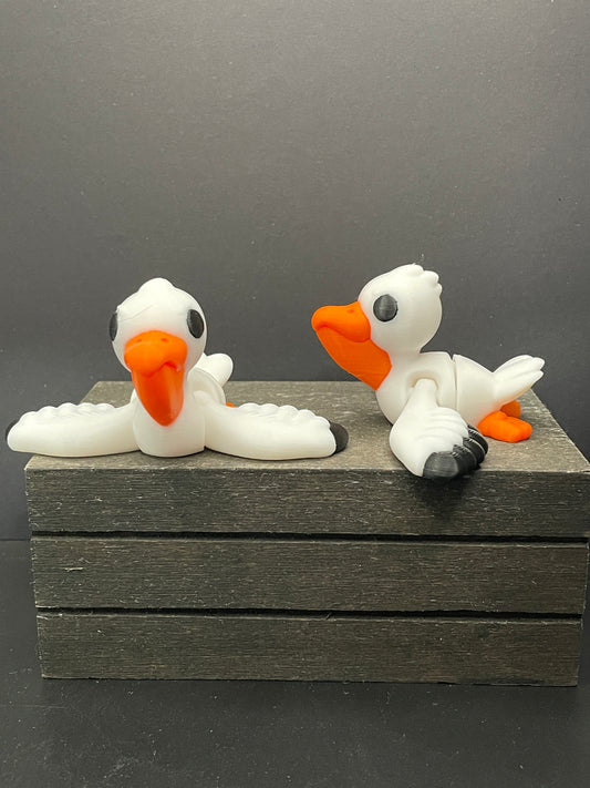 Pelican