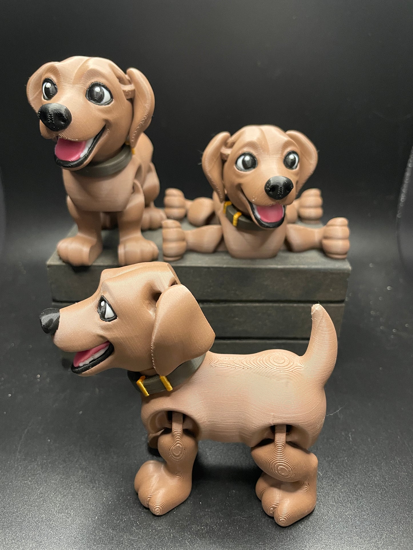 Labrador
