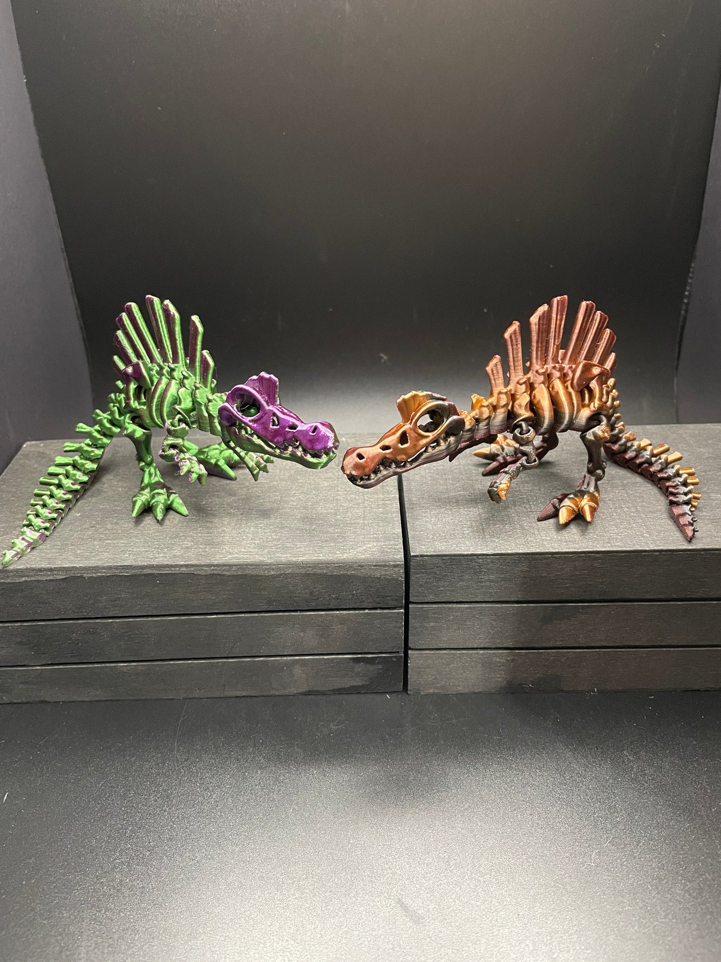 Skeleton Spinosaurus : Small