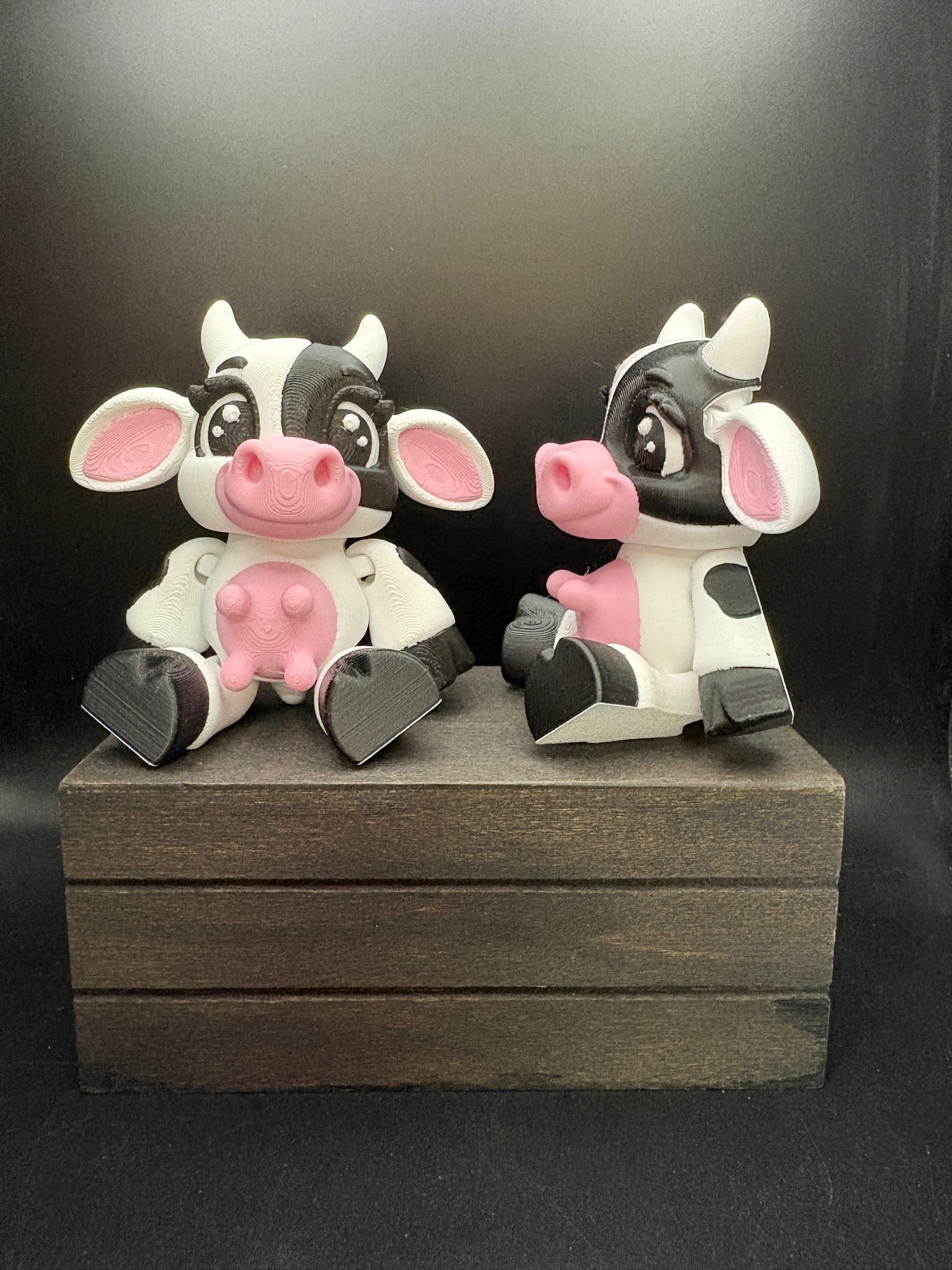 Cow- Spotted Sitting