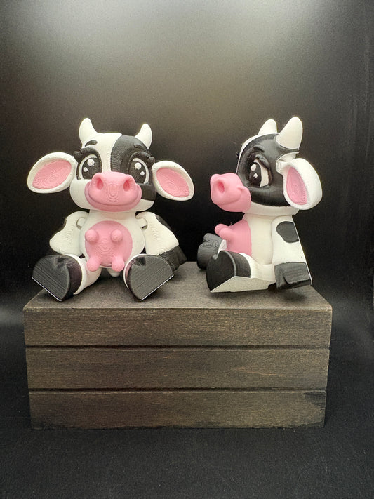 Cow- Spotted Sitting