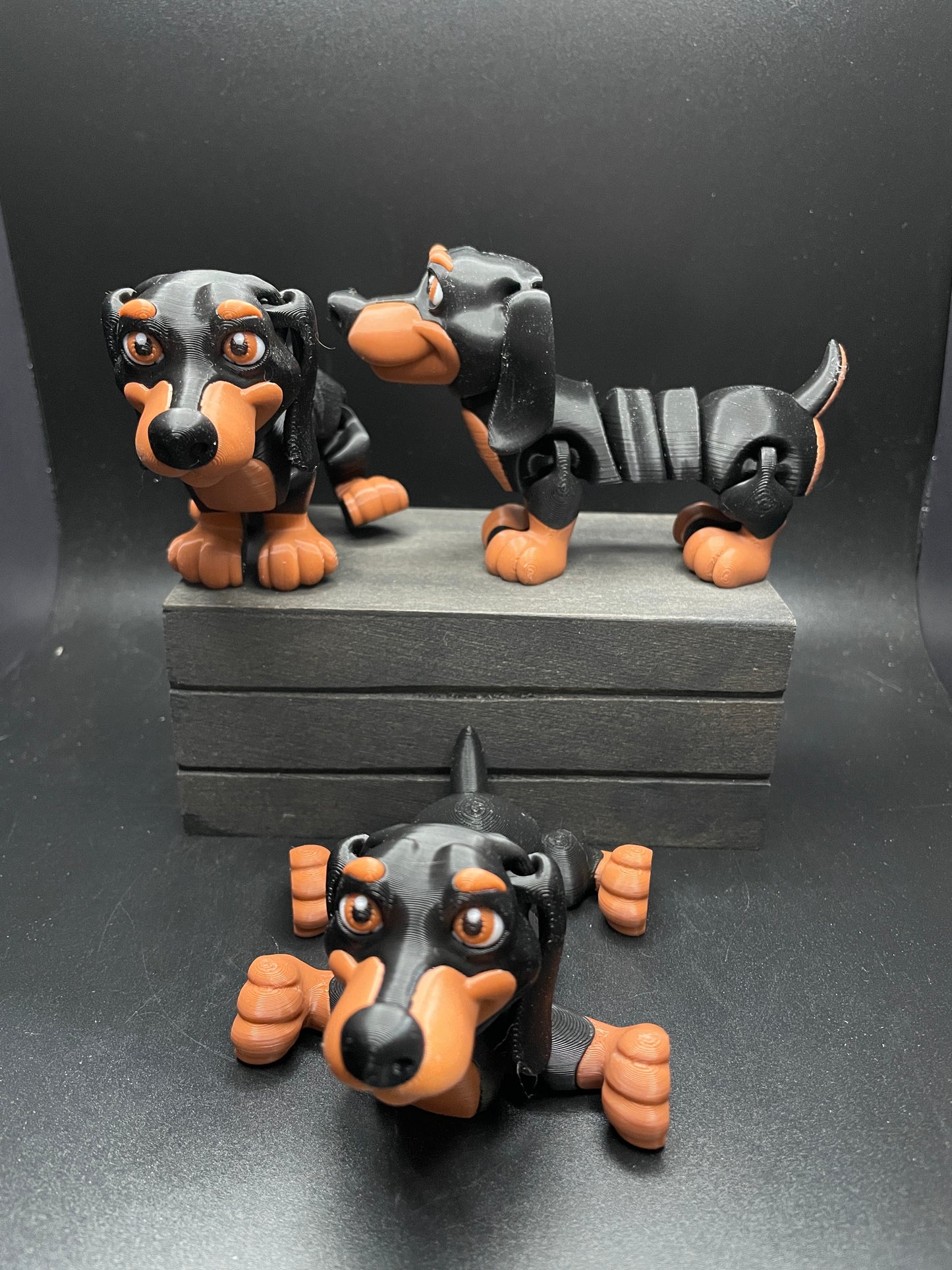 Dachshund