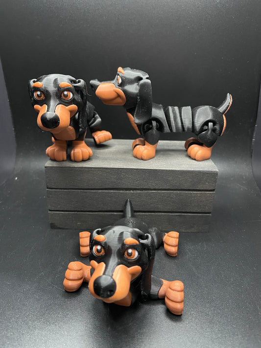 Dachshund