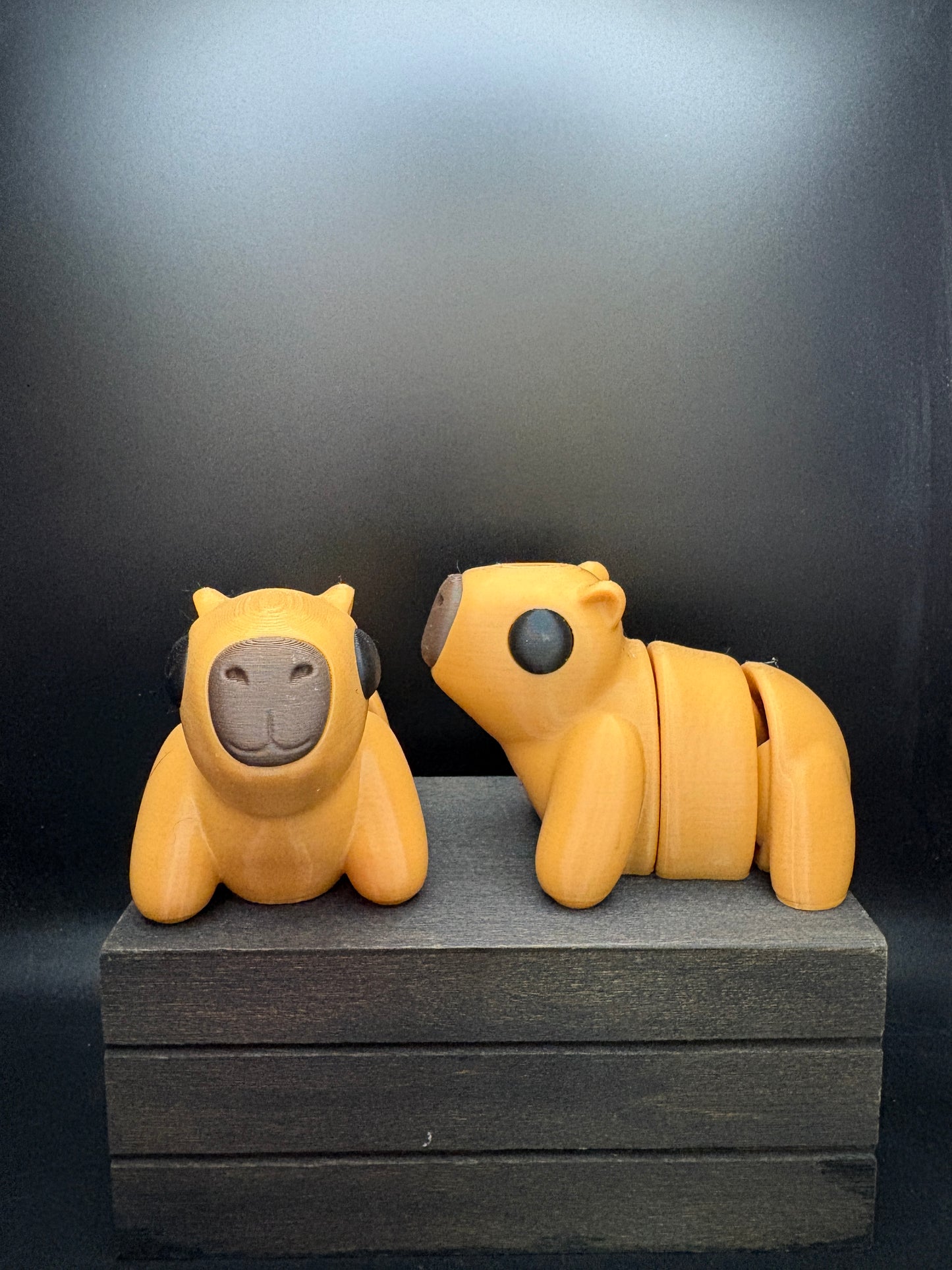Capybara
