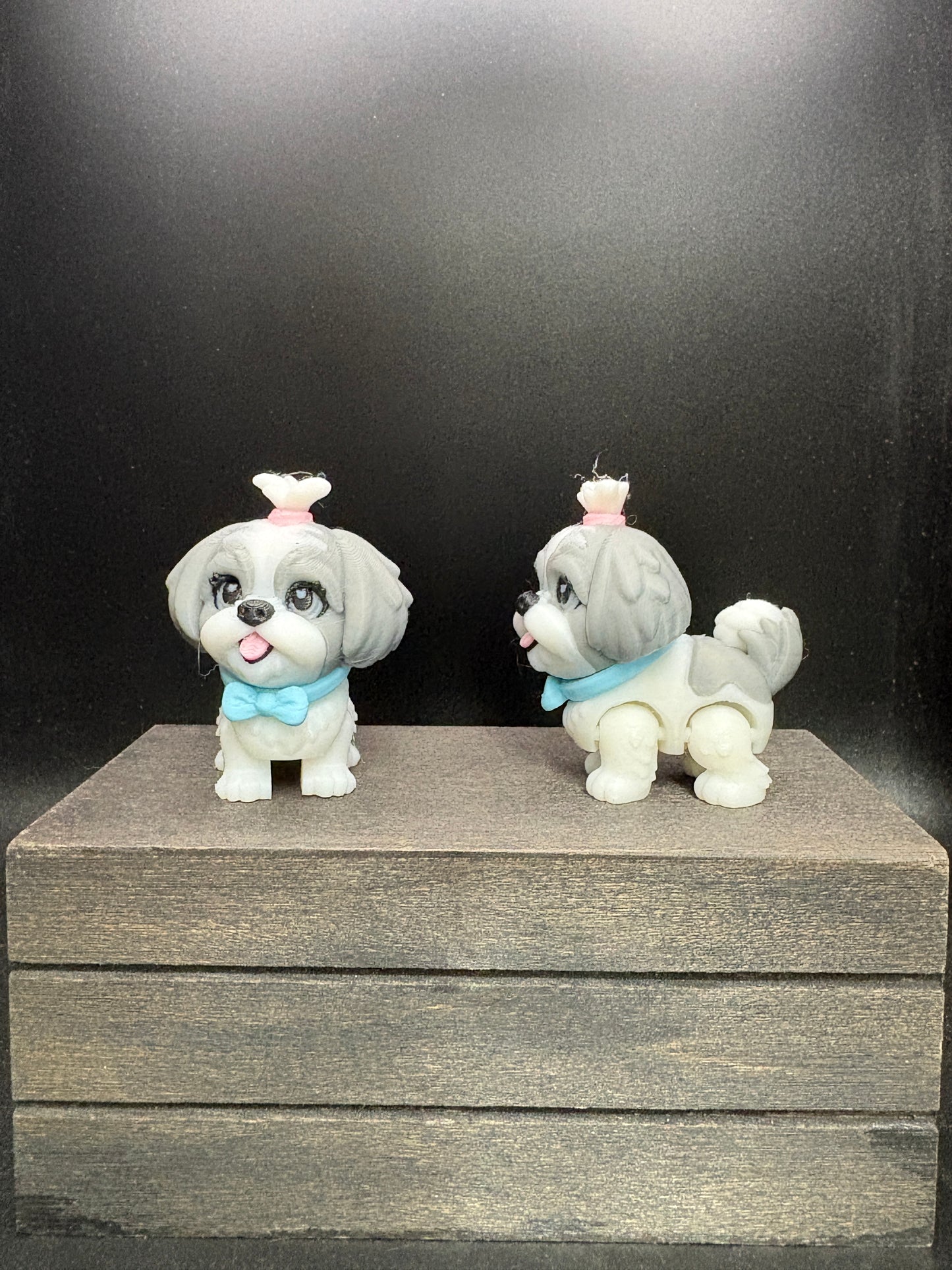 Shih Tzu
