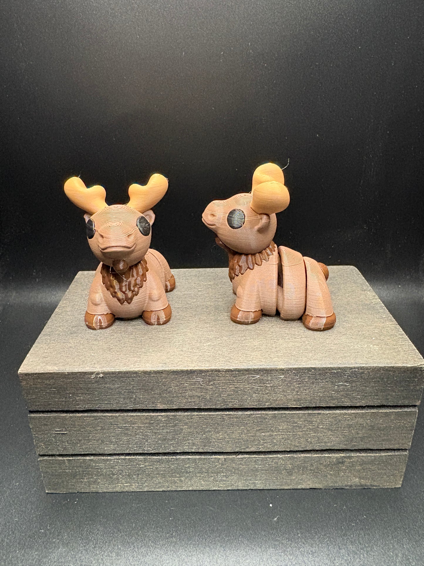Moose