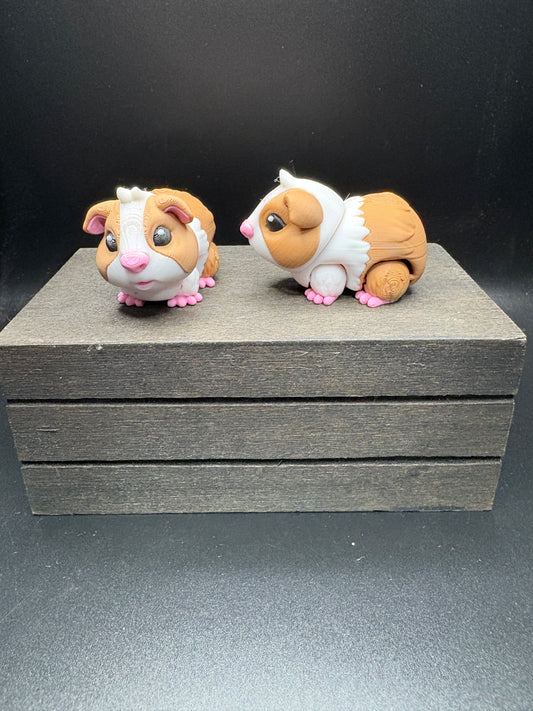Guinea Pig