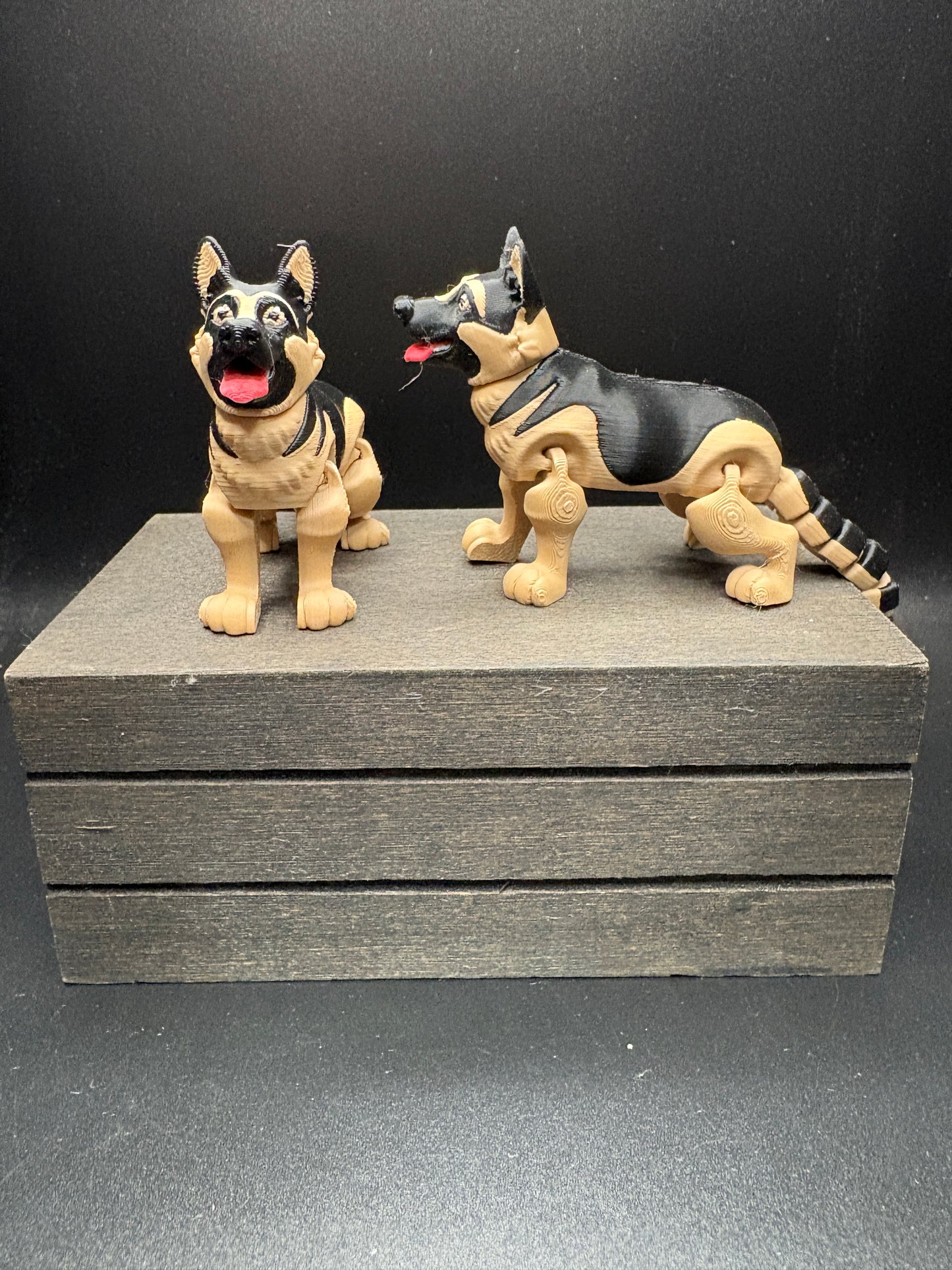 German Shepard : Small