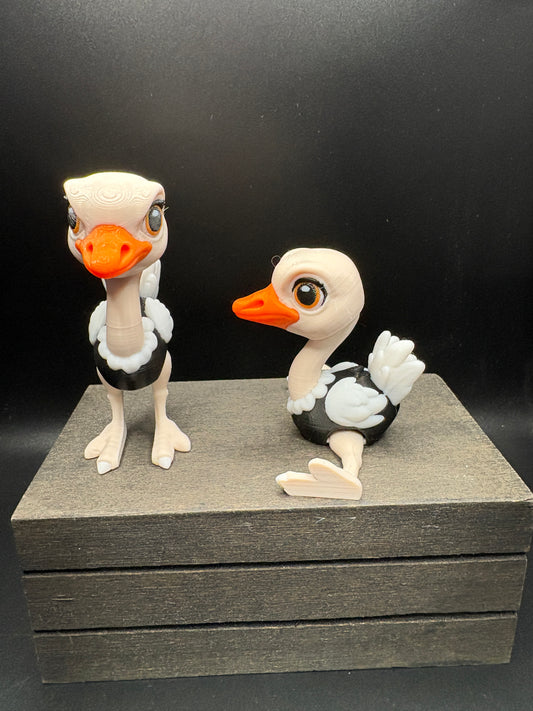 Ostrich